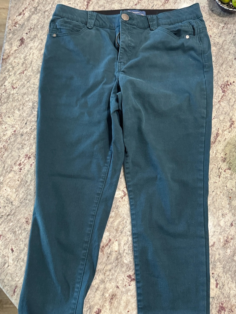 Democracy Absolution Straight Leg Pants Blue (Teal) Size 14